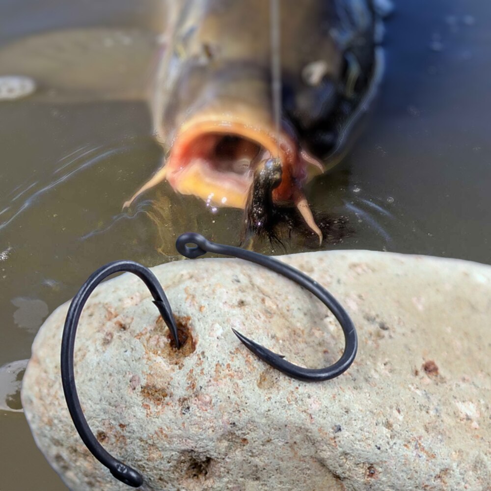 Hirisi ami da pesca alla carpa - Fishing Hook Offset recensione e prezzo